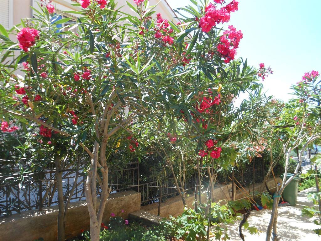 לון Apartments Ivan מראה חיצוני תמונה